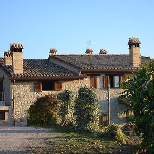 Locazione turistica villa delle Rose